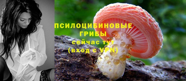 прущие крисы Алзамай