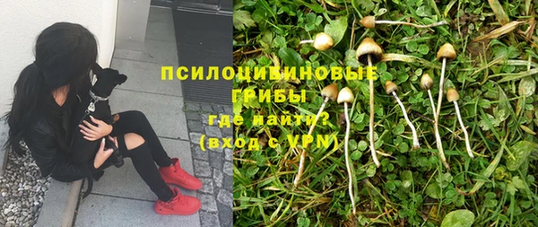 мет Зеленодольск