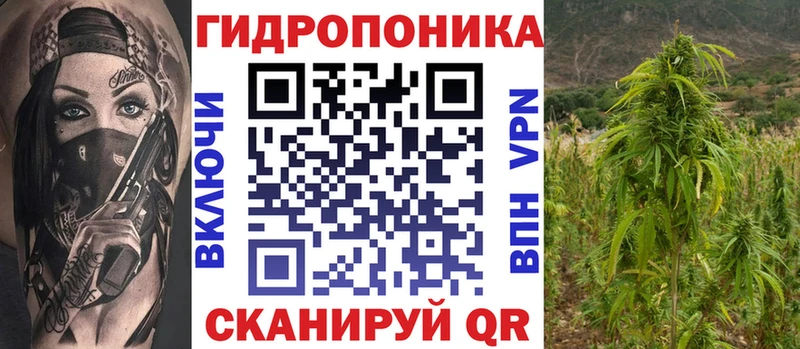 hydra как войти  Славск  МАРИХУАНА план  где можно купить наркотик 